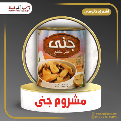 صورة مشروم جـــــــــنــــي علبه 850 جم 
